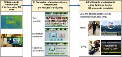 Effectiveness and usability of the system for assessment and intervention of frailty for community-dwelling pre-frail older adults: A pilot study